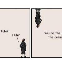 Tobi on the ceiling